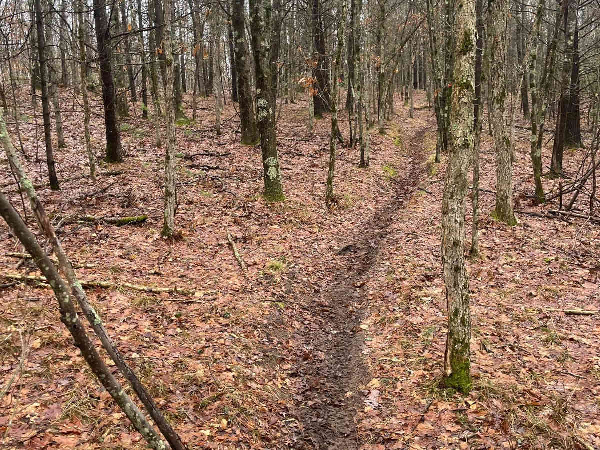 Horseshoe Motorcycle Trail Part 4 photo 3