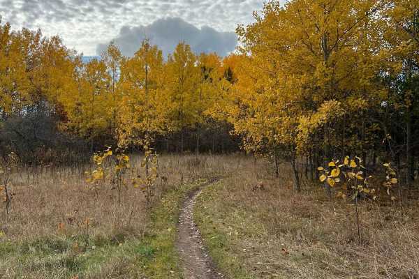 Scenic River Overlook Single Track