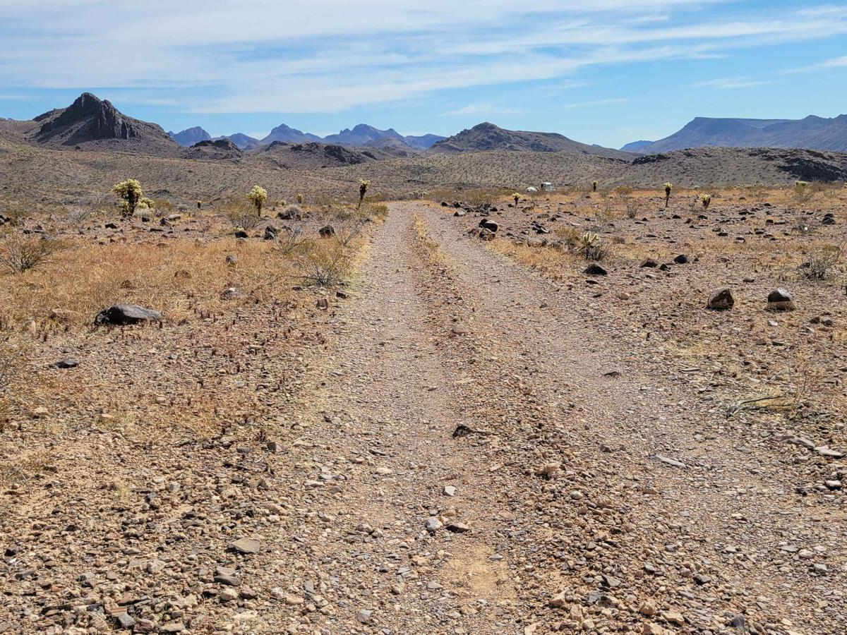 Lone Mine Trail trail photo