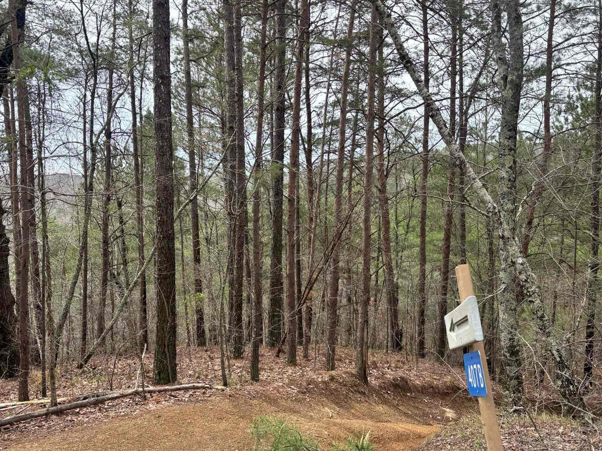 407B trail photo