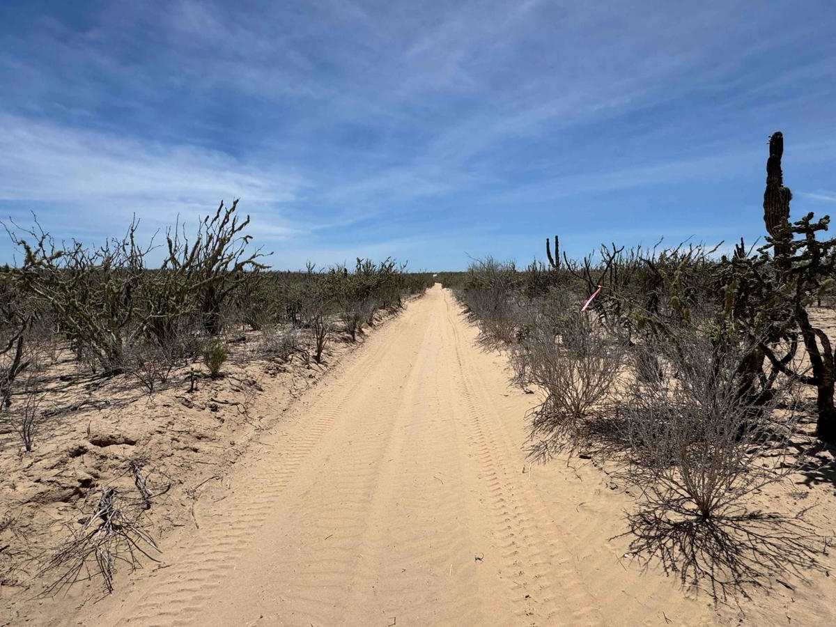 Guatamota Dunes photo 6
