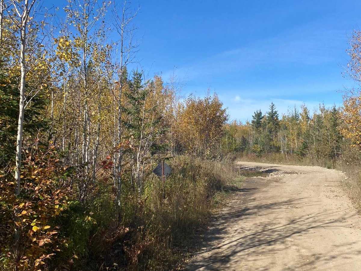 East Marblehead Cutover trail photo