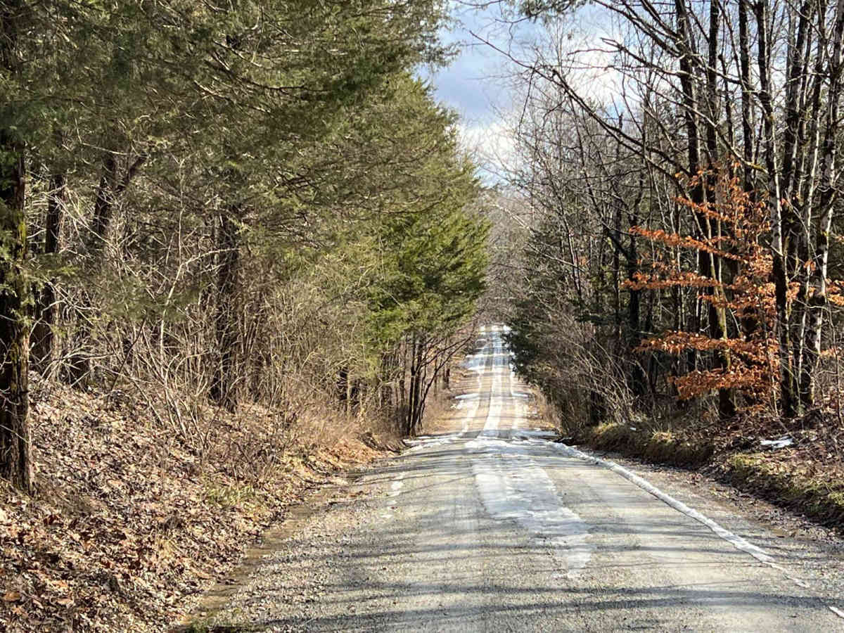 Tower Ridge Road photo 4