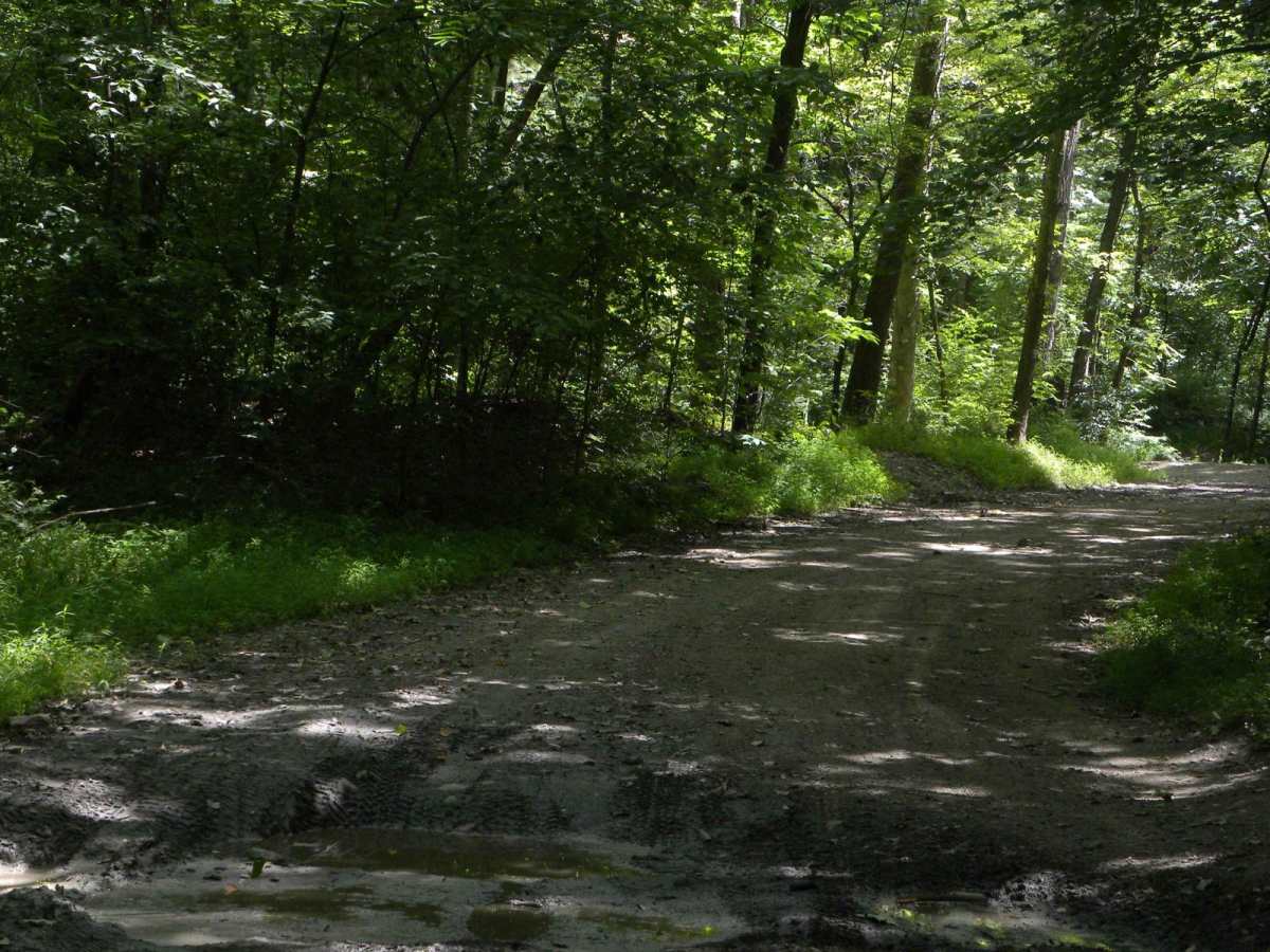 Trail 2C(intermediate) photo 3