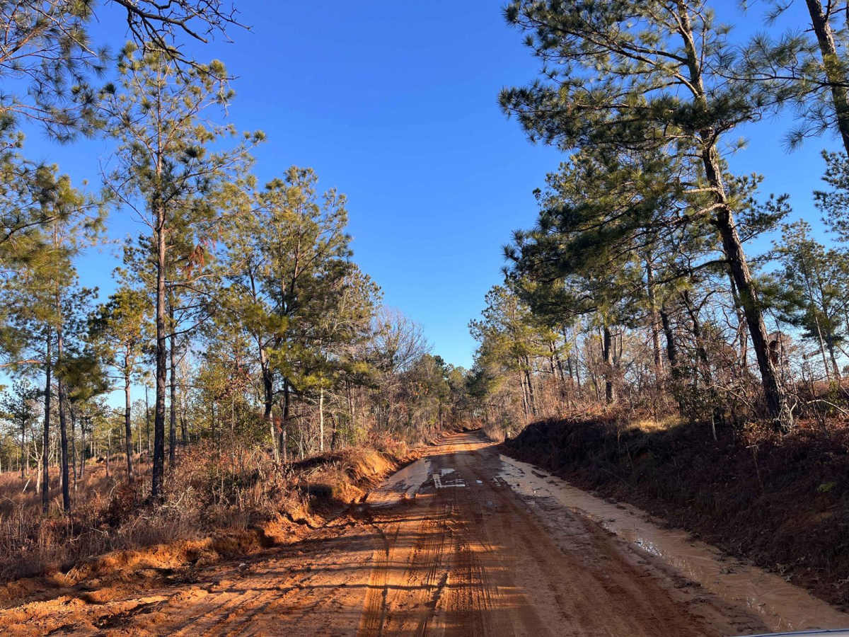 North Fork Road trail photo