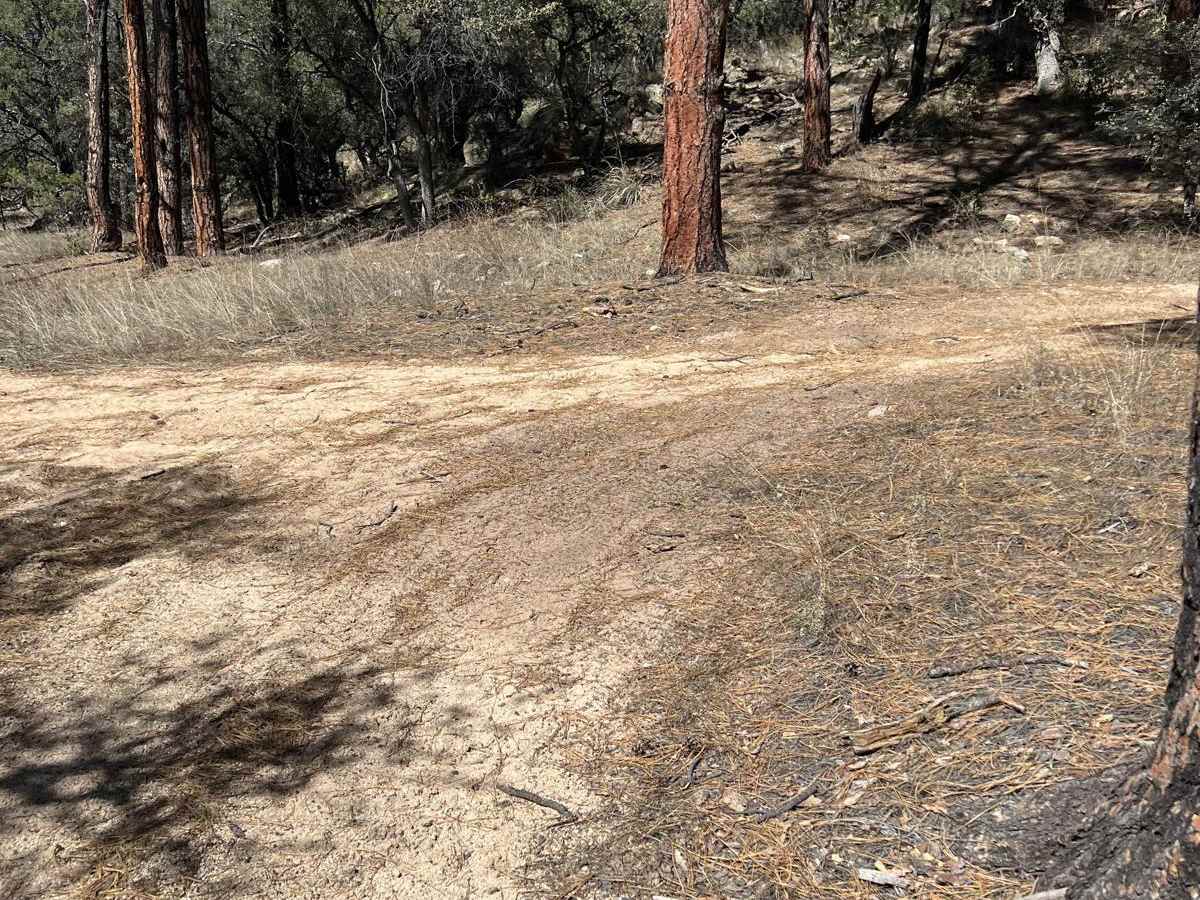 FS 914 trail photo