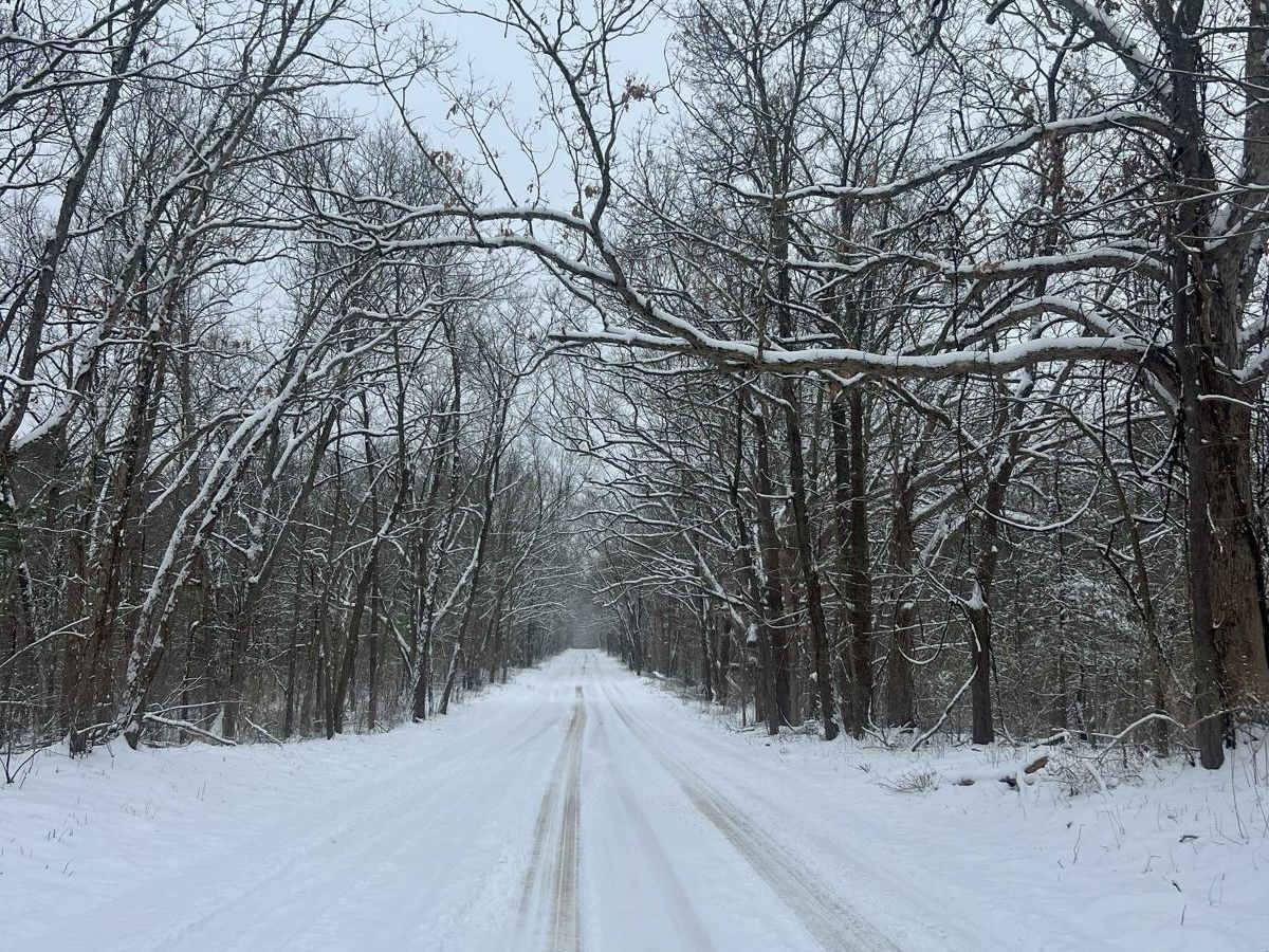 Allegan Trap Trail photo 3