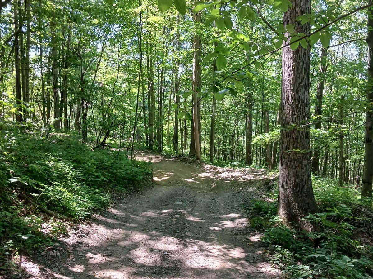 Lower Briar Path photo 6