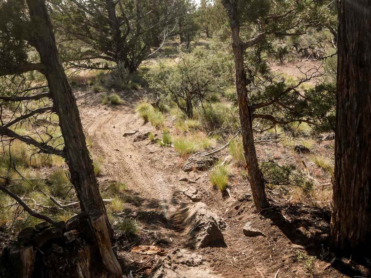 91 trail photo
