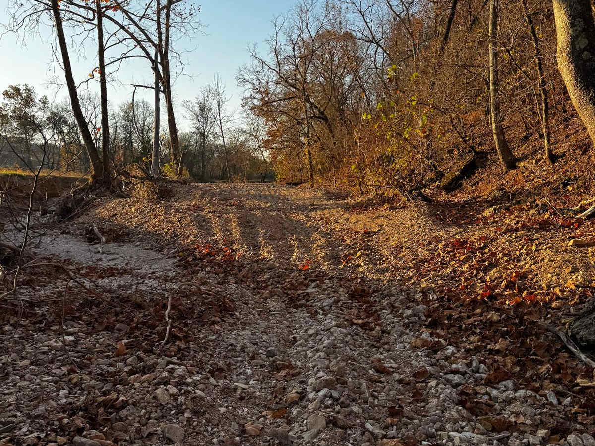 Main Creek photo 3