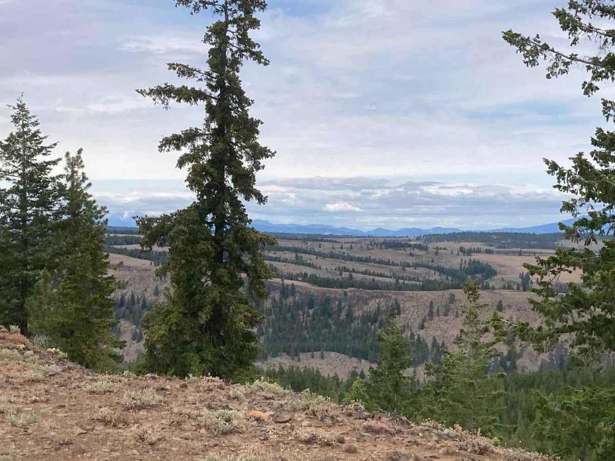 Manastash Ridge Observatory Adventure photo 6