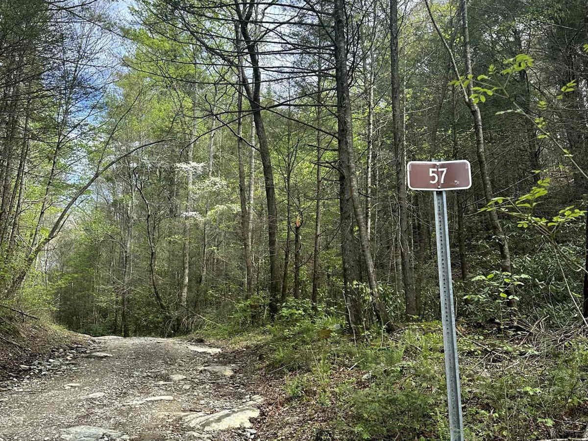 Cane Creek Road - FS 57 trail photo
