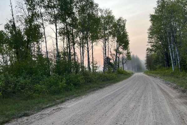 Lyons Lake Road
