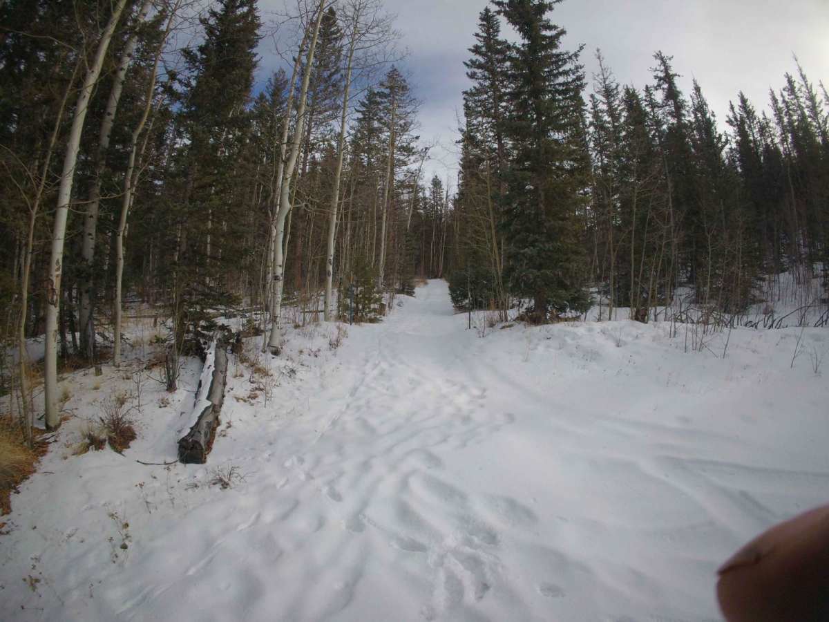 Reese Road - FS 844 photo 5