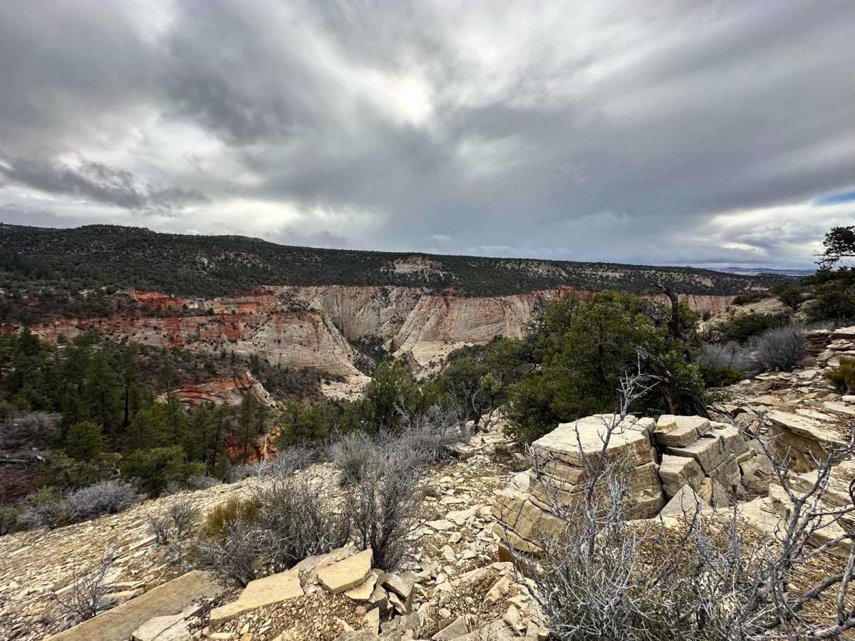 Lower Black Mesa Loop photo 4