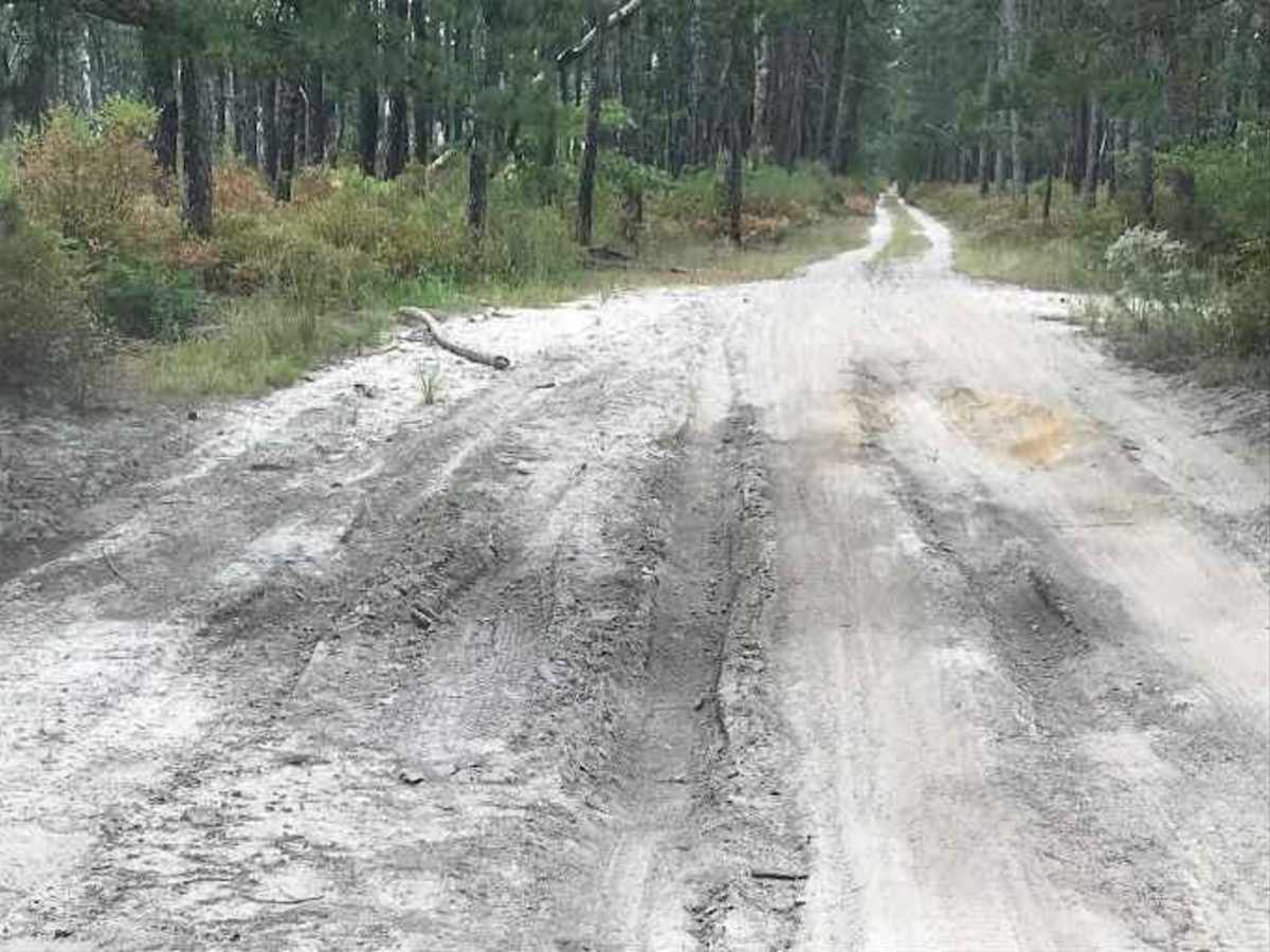 Stokes Trail photo 4