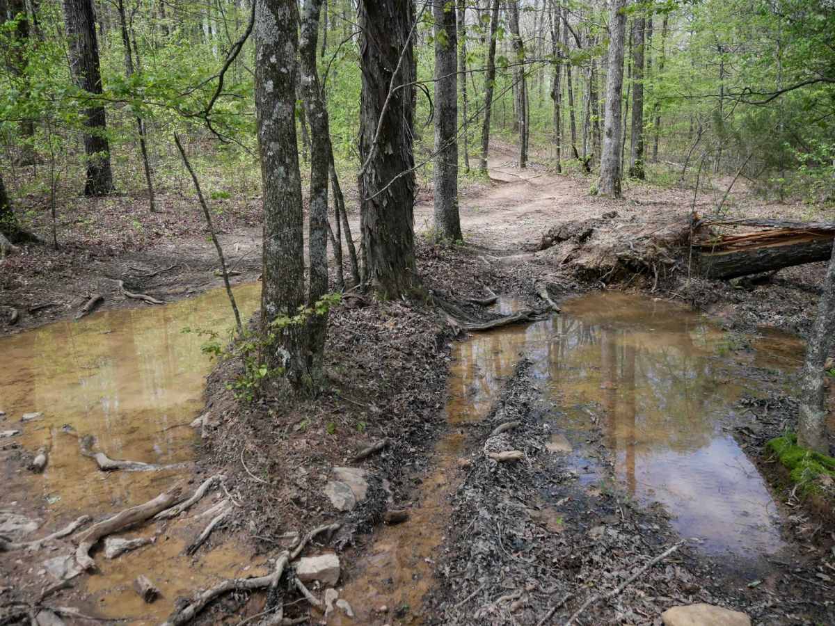 Black Oak Ridge photo 2