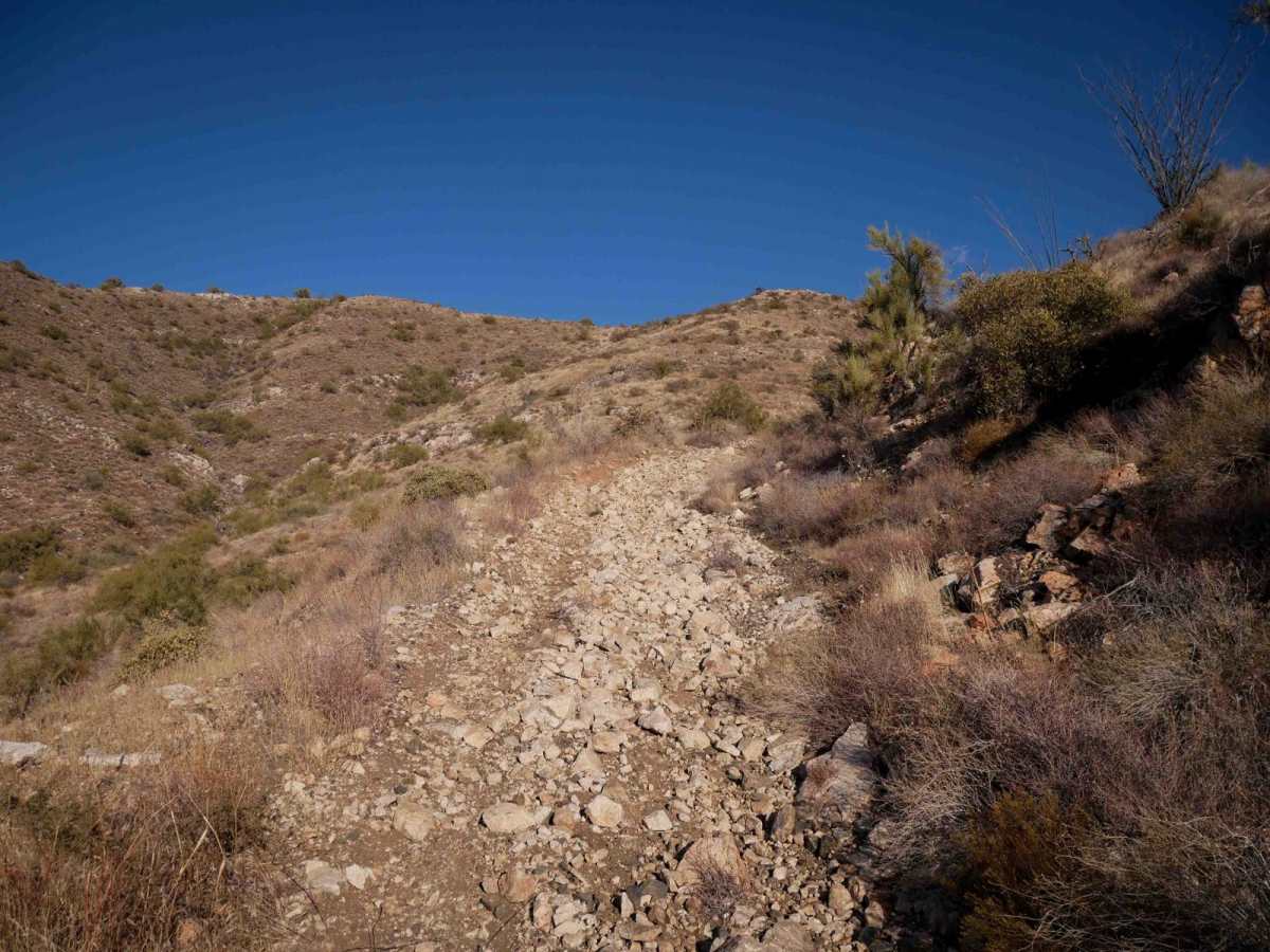 32065 ATV trail photo