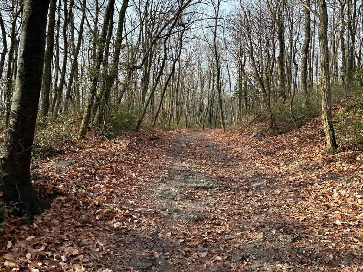 Darkwater 39 photo 2
