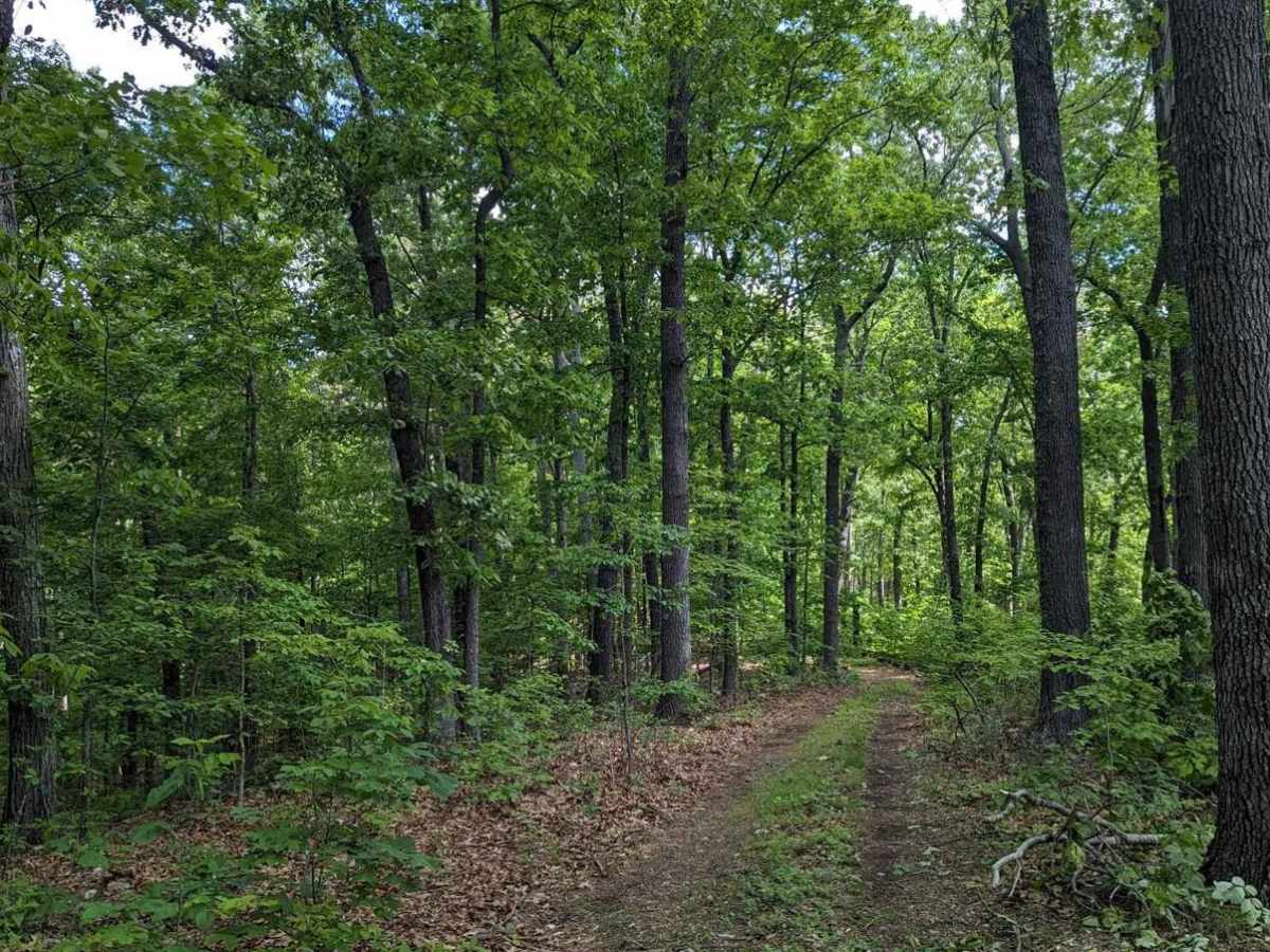 West Brown's Hollow photo 3