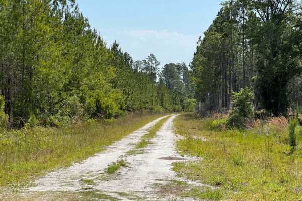 Grove Park WMA South Trail