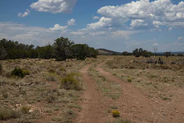 Antelope Run