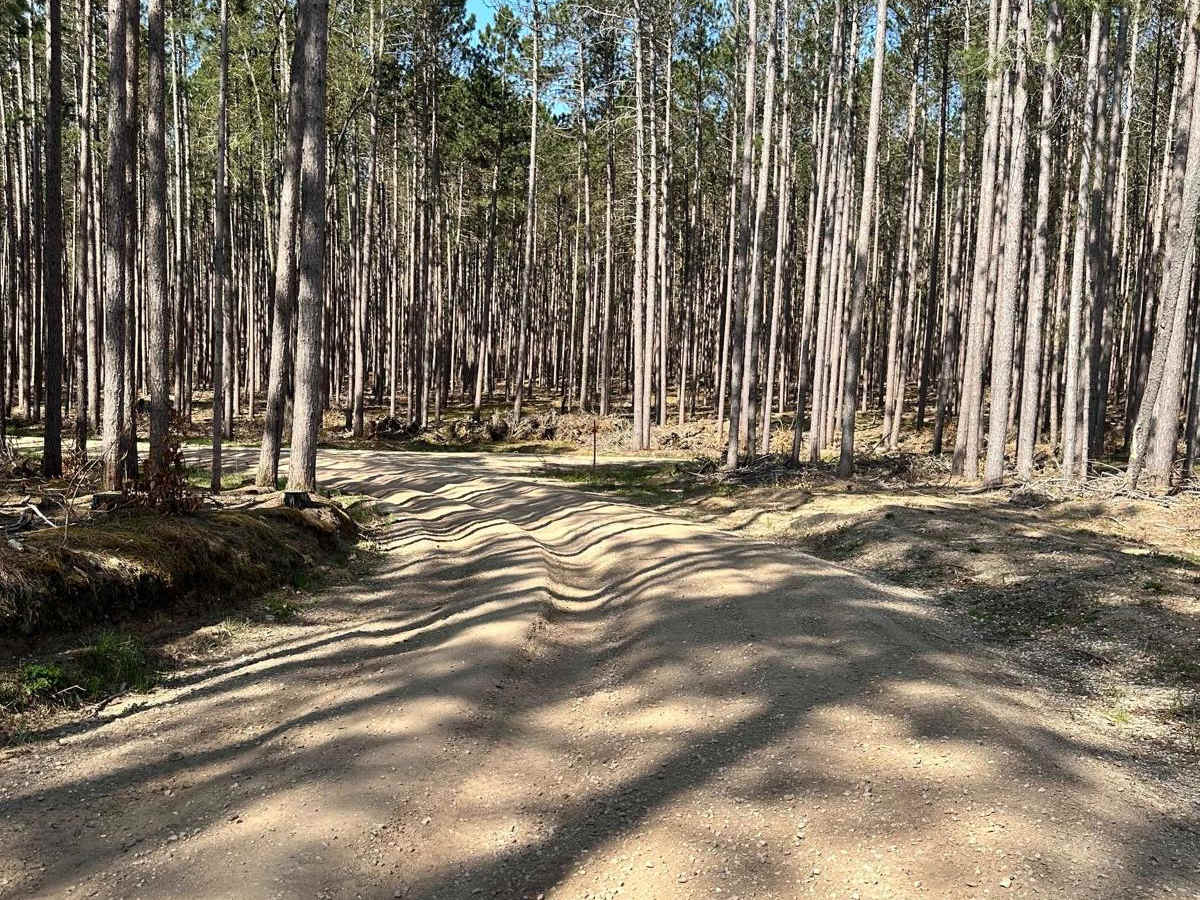 Cadillac Area ORV/OHV Scenic Ride - Part 11 photo 2