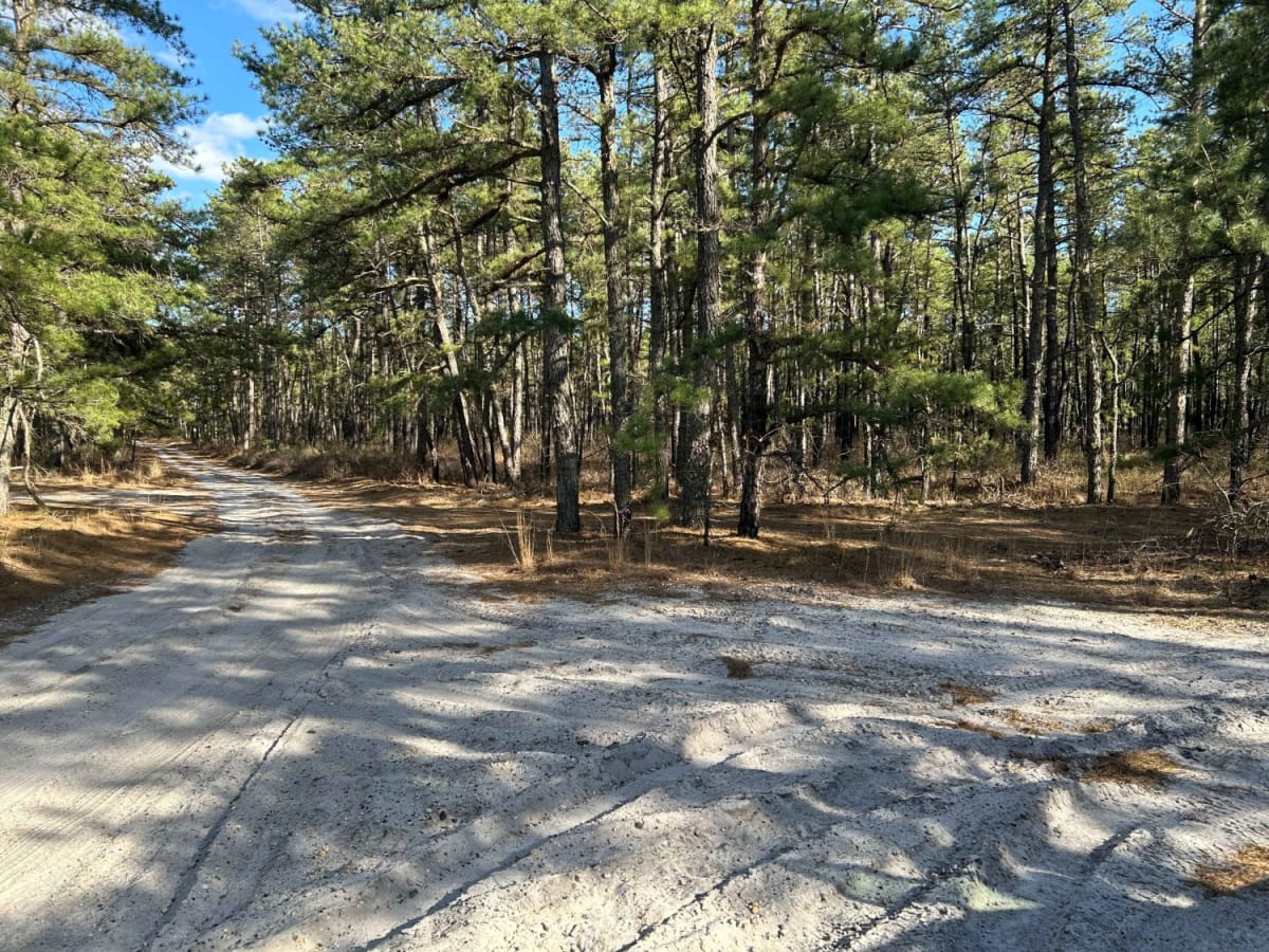 Apple Pie Fire Tower Trail photo 4
