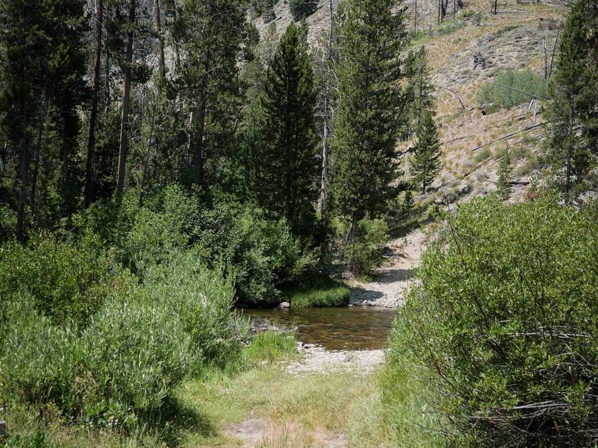 Kelly Creek ATV photo 2