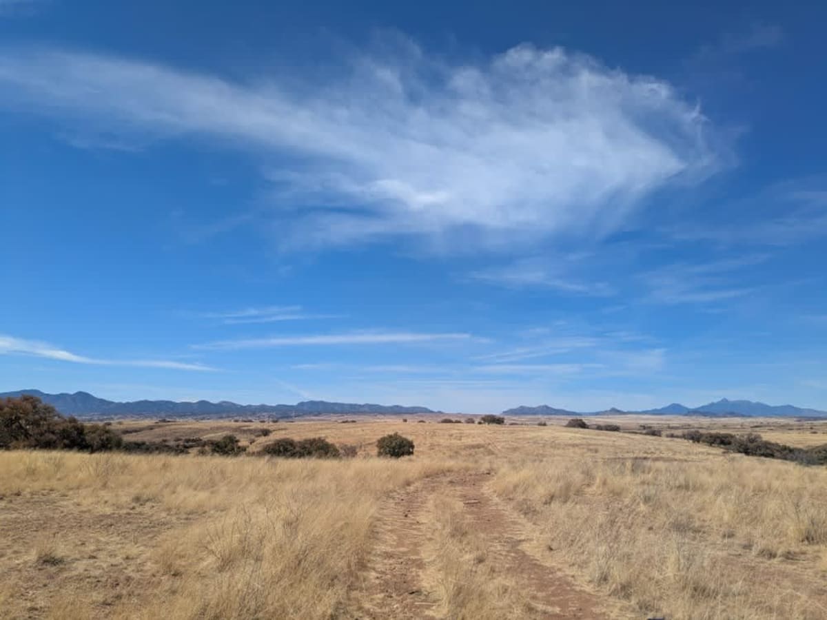 Max Tank Road photo 6