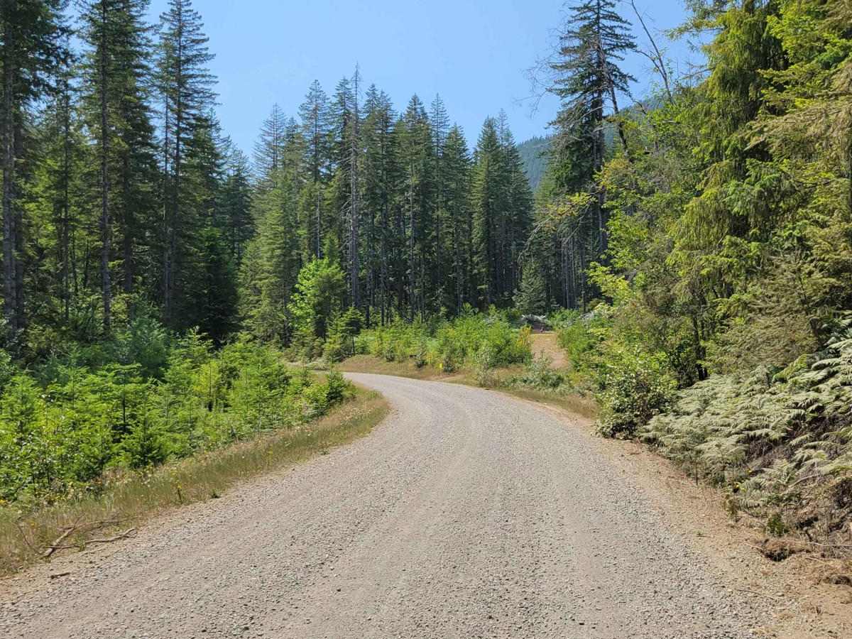 NF 24 - Jorsted Creek photo 4