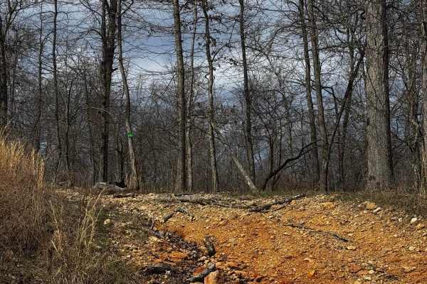 Hillside Trail 4