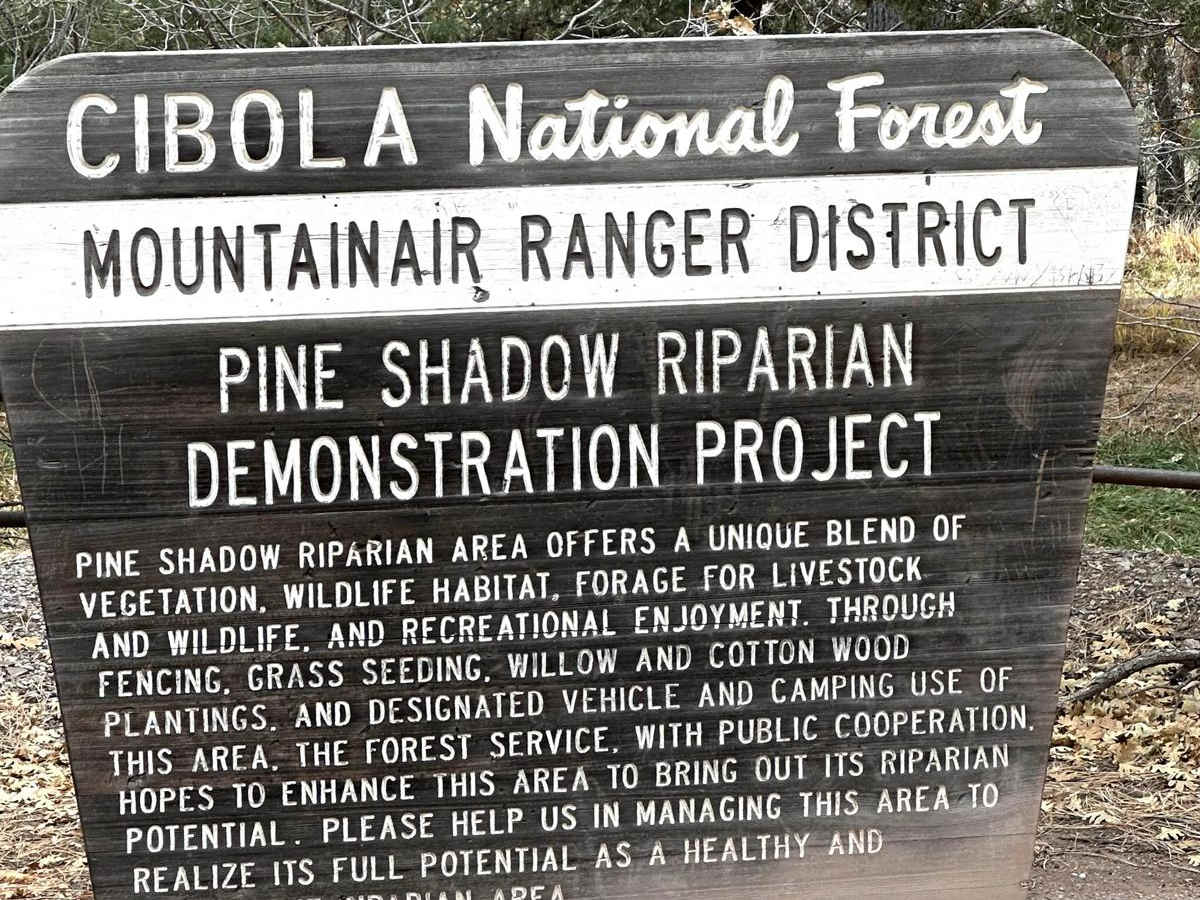 FS 422 Priest Canyon photo 6