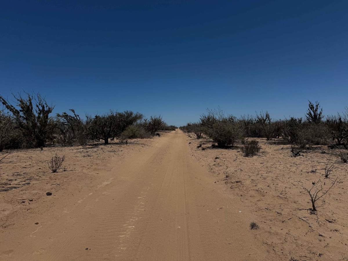 Rofomex photo 4