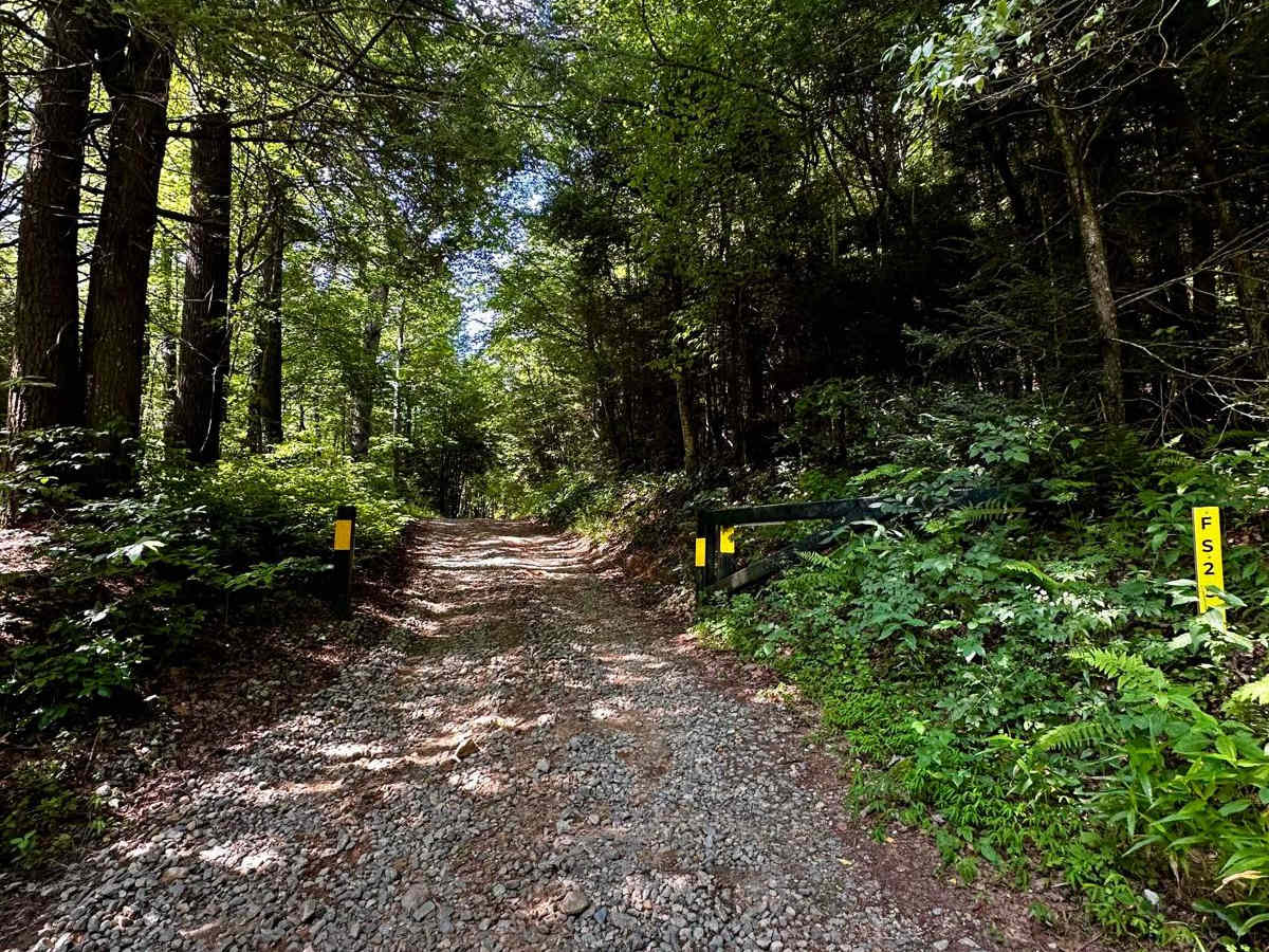 Long Creek Trail trail photo