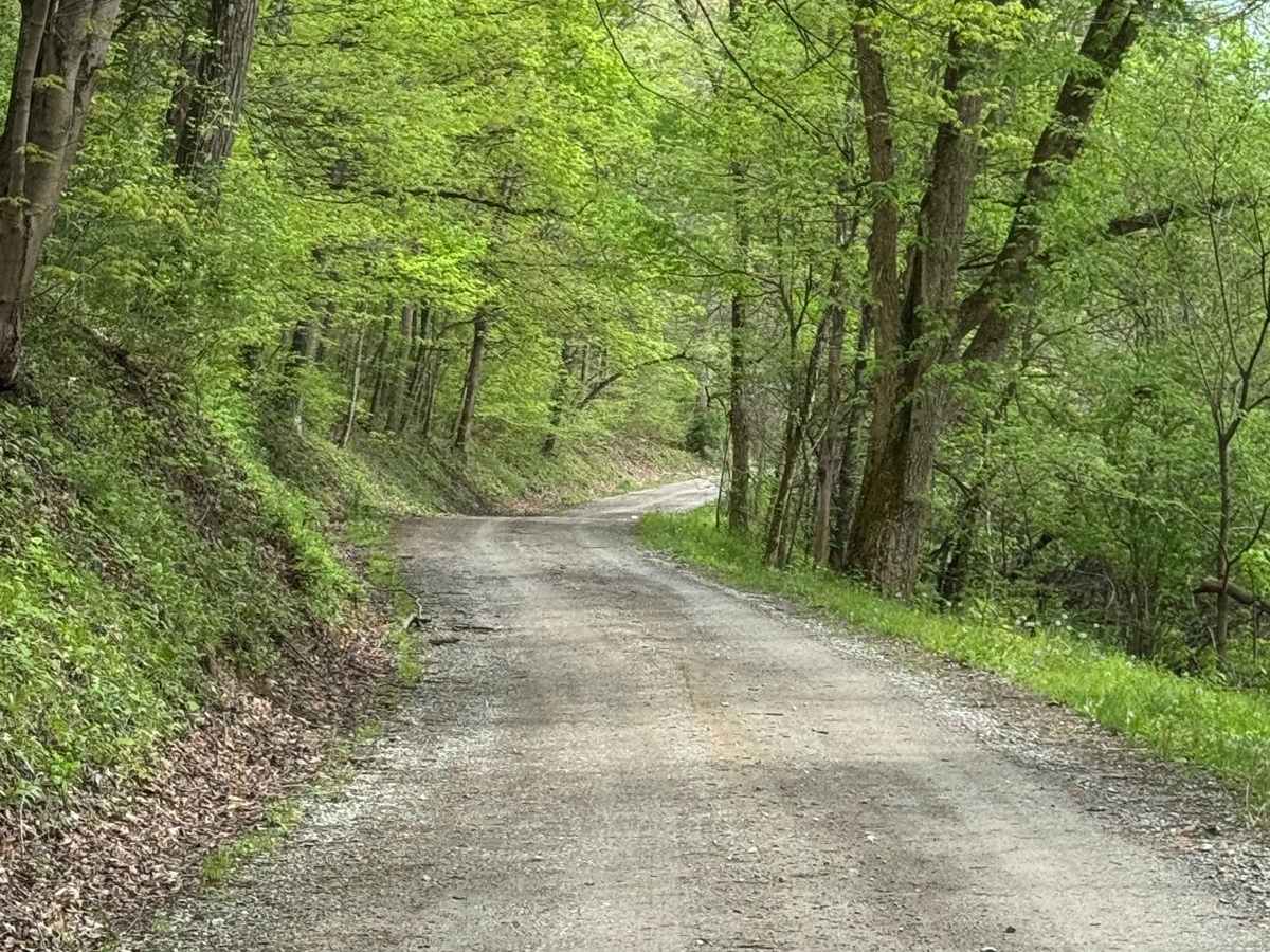 Buck Run Road photo 5