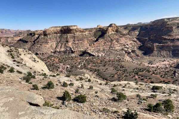Wedge Road-Emery CR405