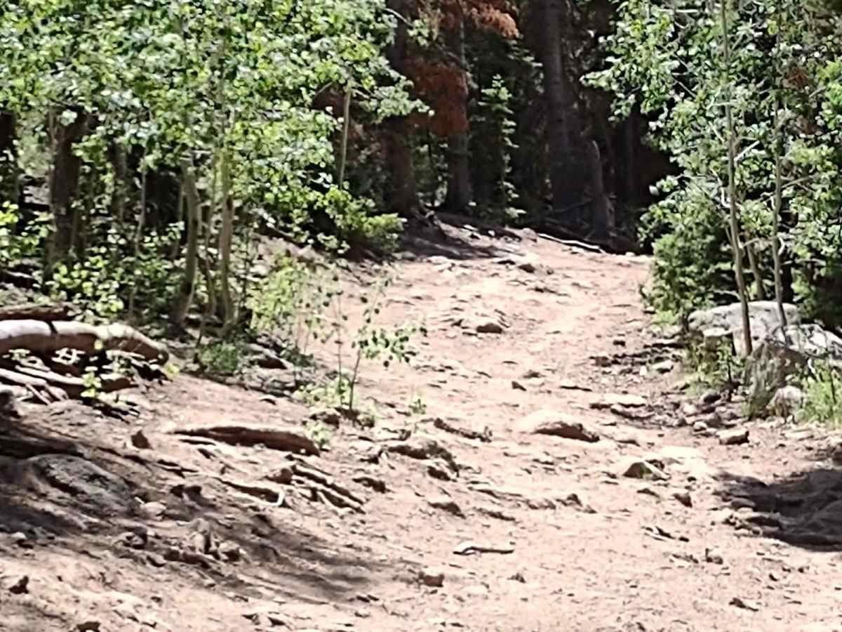 Hunts Lakes Loop - FS 40075 photo 6