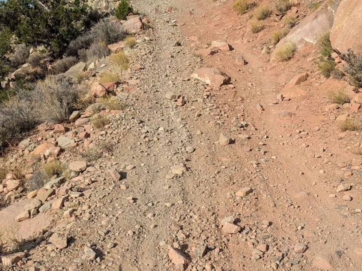 Flying Monkey Trail Access photo 5