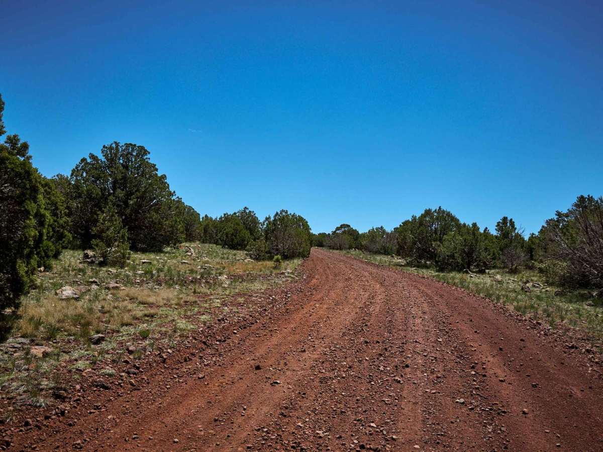 Loop Road / 108 South Section photo 6