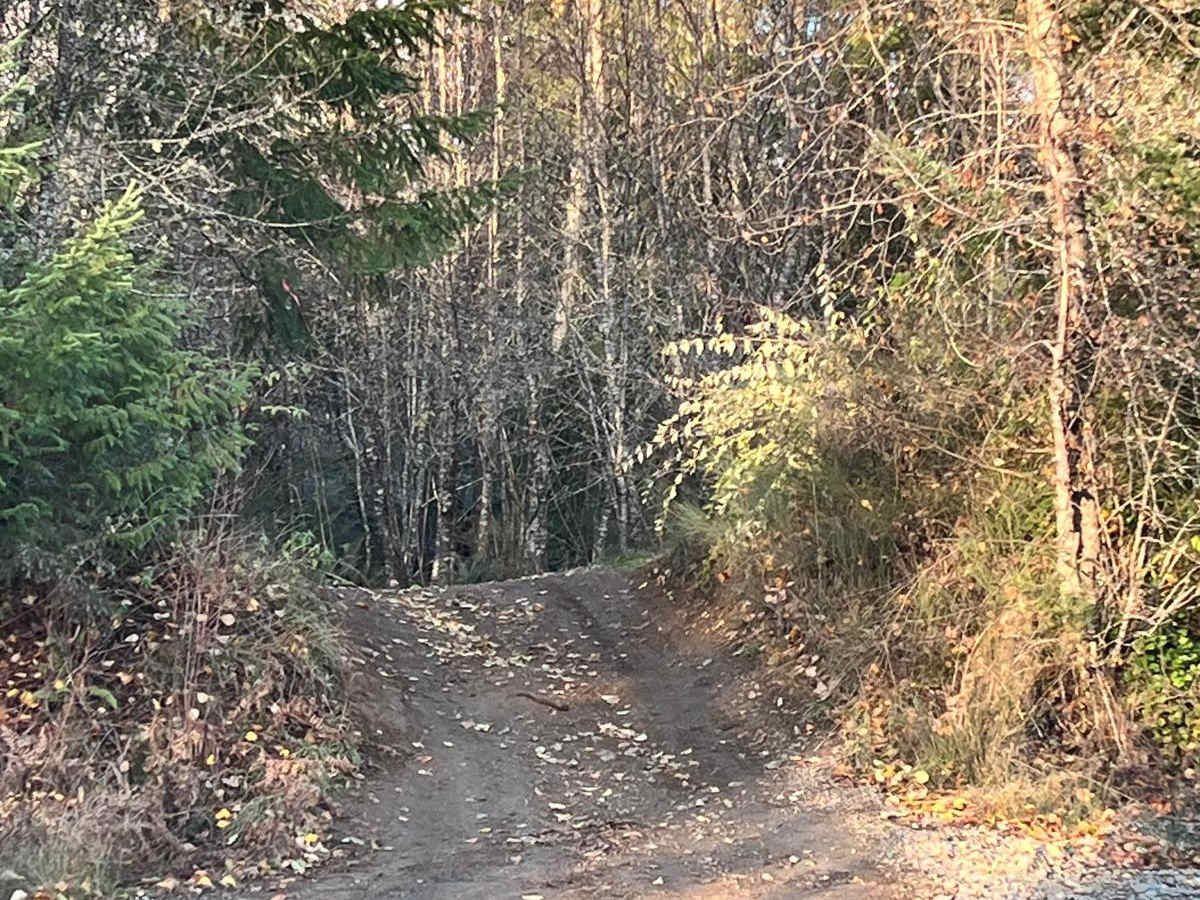 Rowbotham Lake photo 2