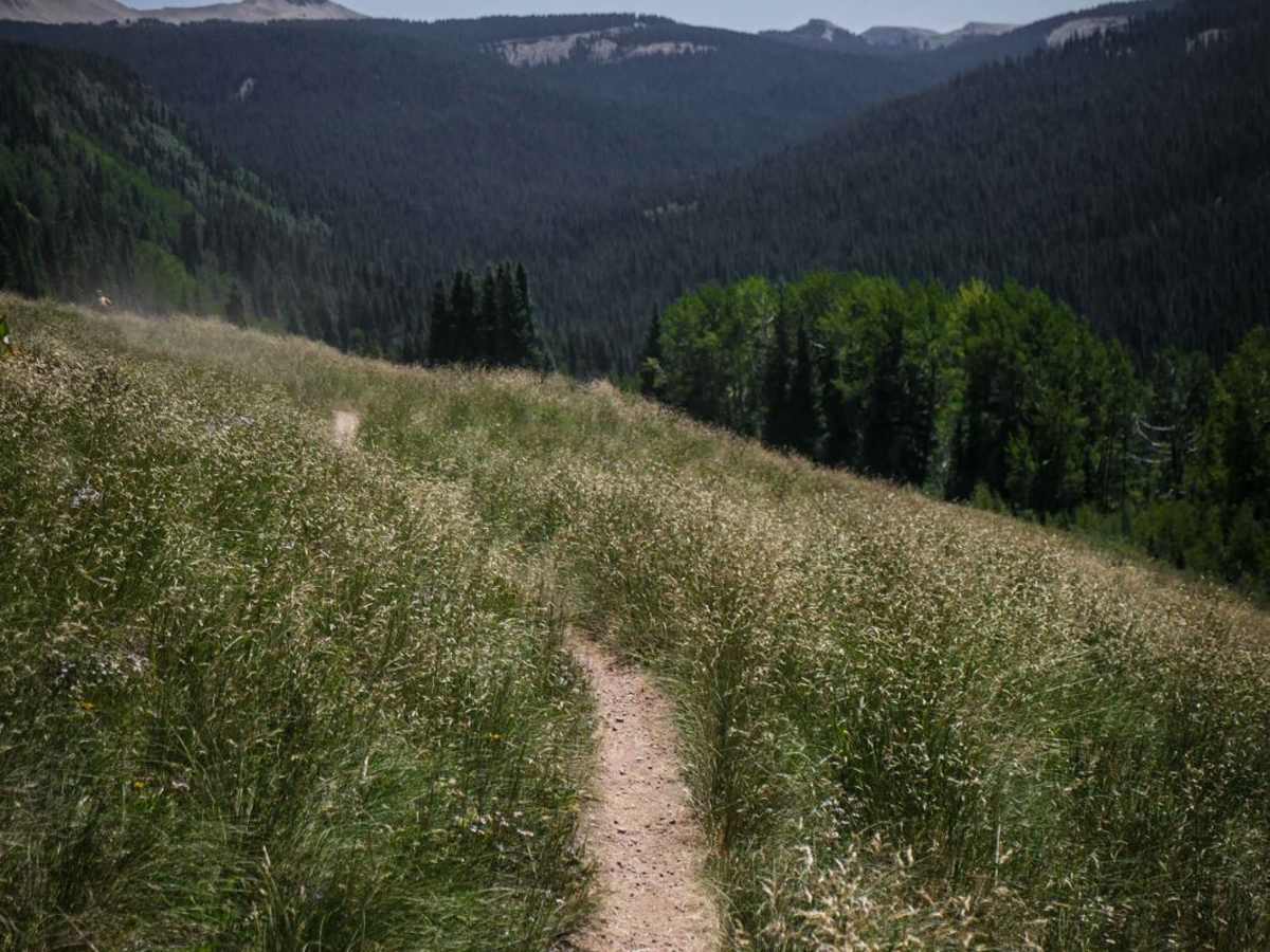 East Fork Trail photo 3