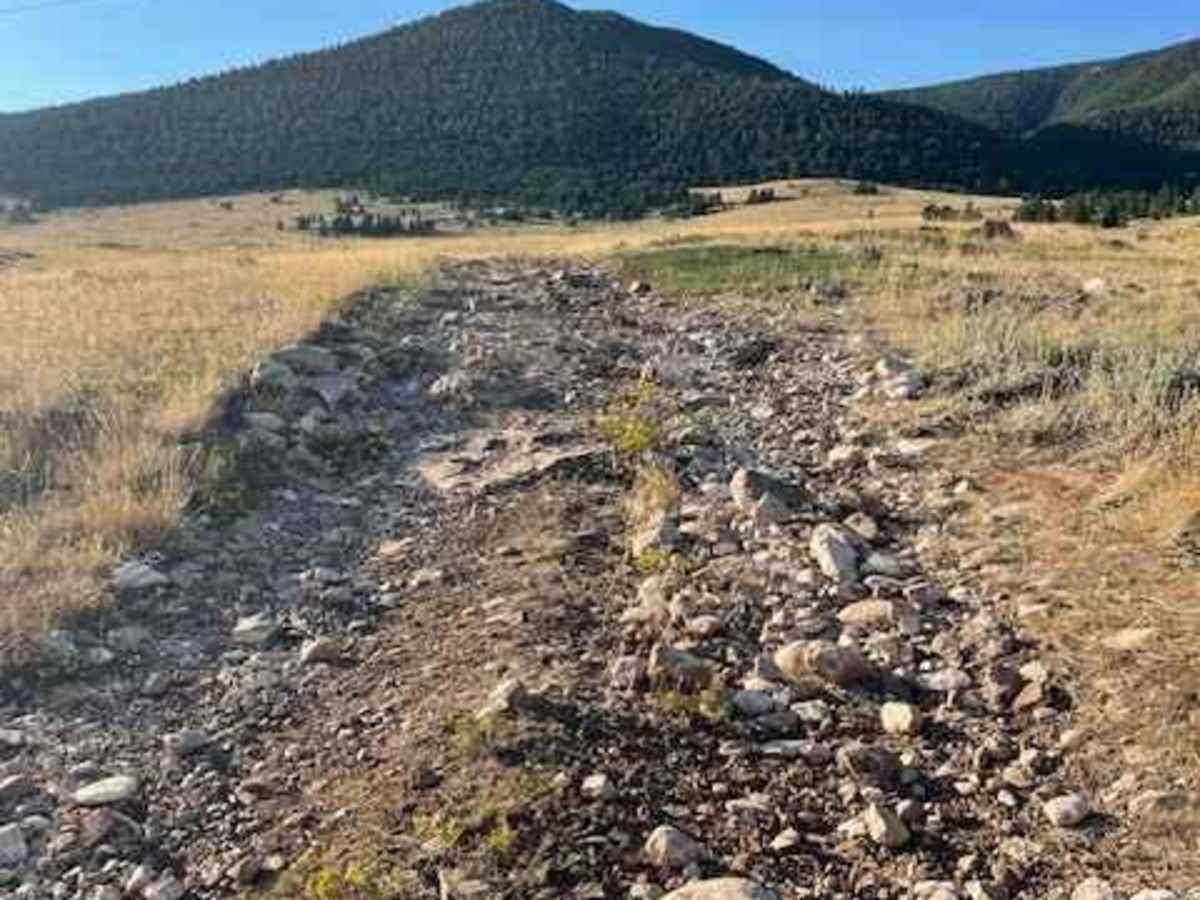 Powerline Road photo 4