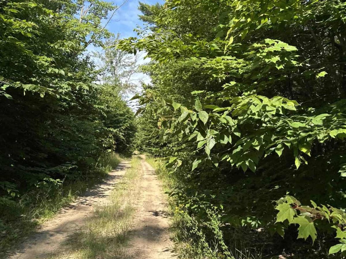 County Road 371 photo 4