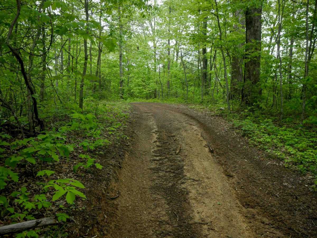 OP 37 trail photo