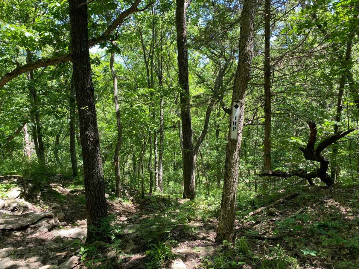 4WP trail photo