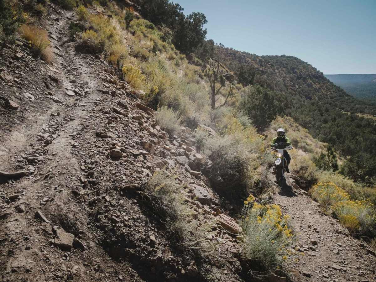 Lower Spring Creek Trail photo 3