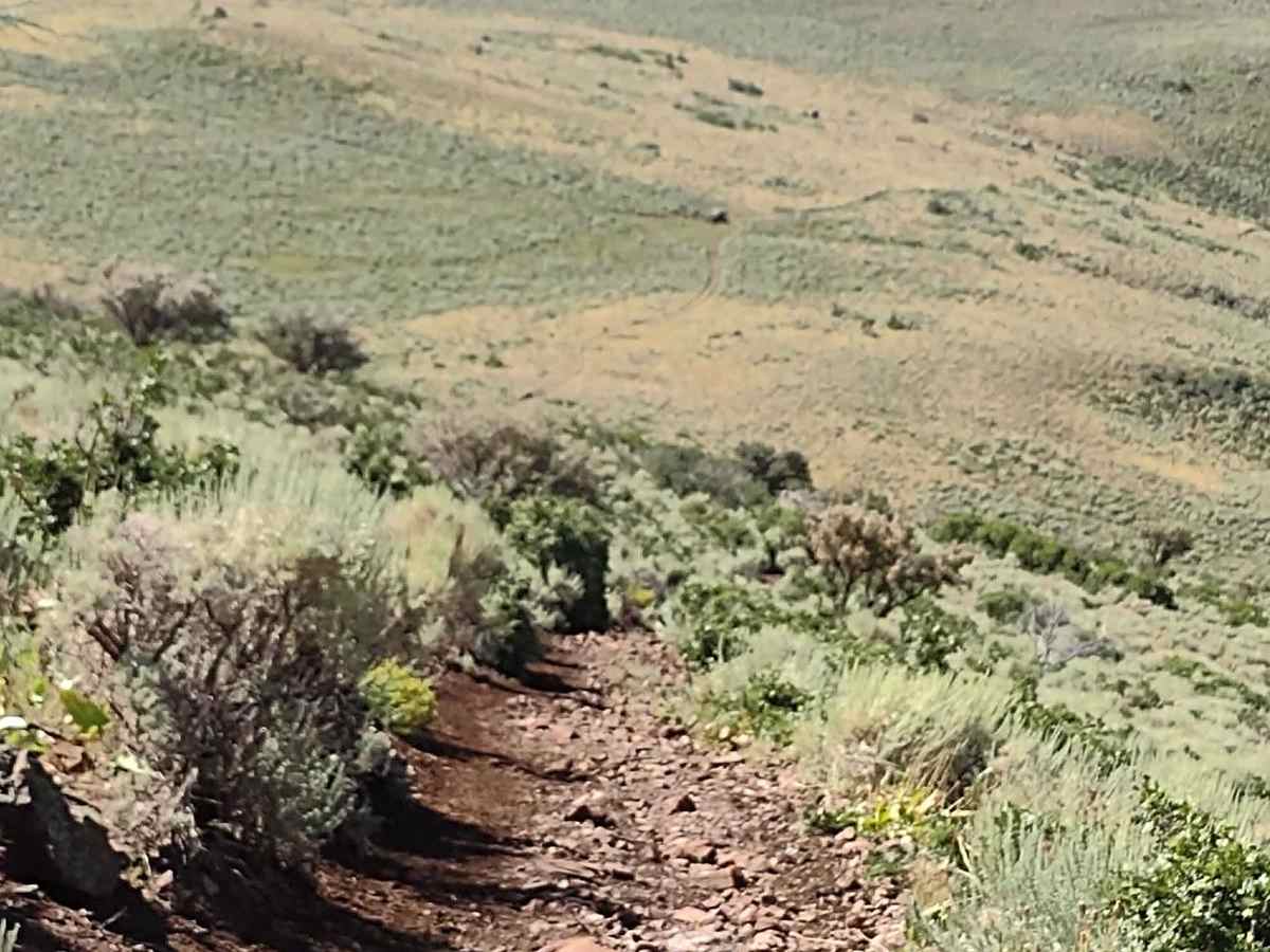 Hillbilly Rock Climb  (FS 4840/R 1375) photo 4