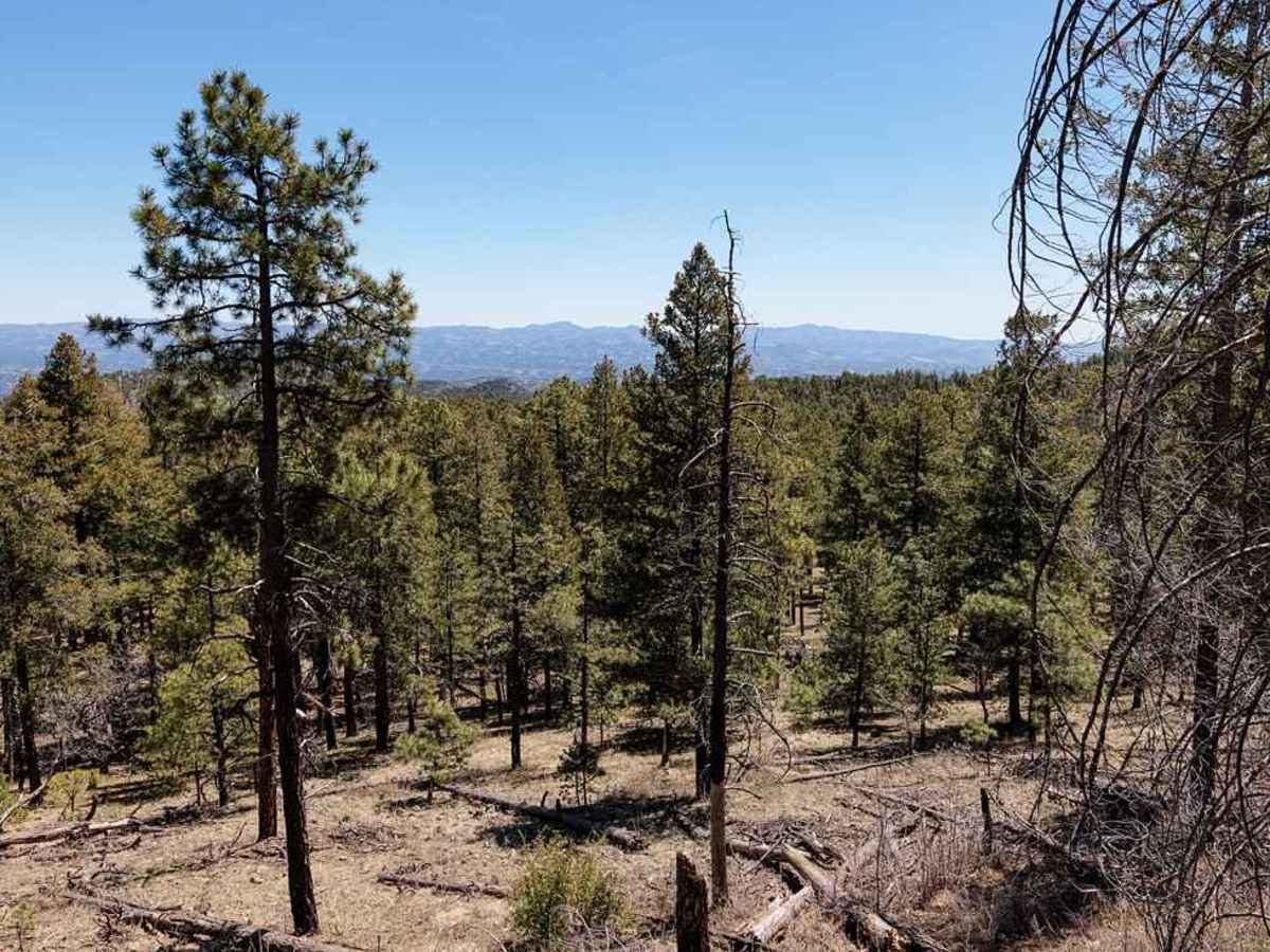 Signal Peak Road - FS 154 trail photo