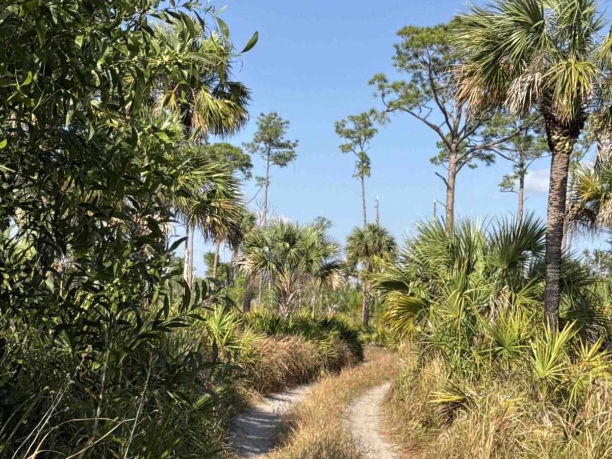 Blue Trail trail photo
